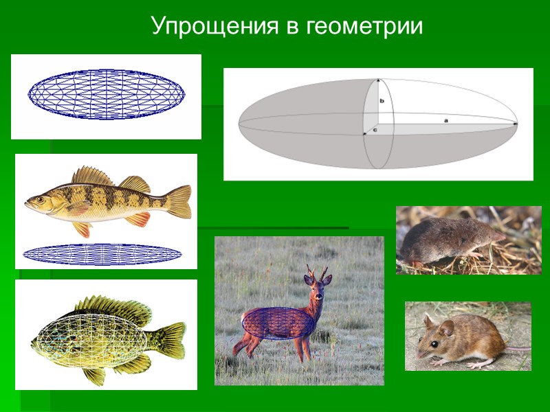 Упрощения в геометрии Упрощения в геометрии
